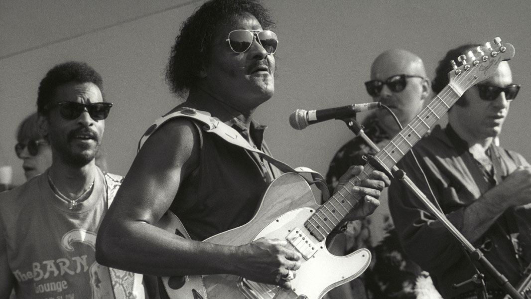 Preview of Mississippi Valley Blues Society website